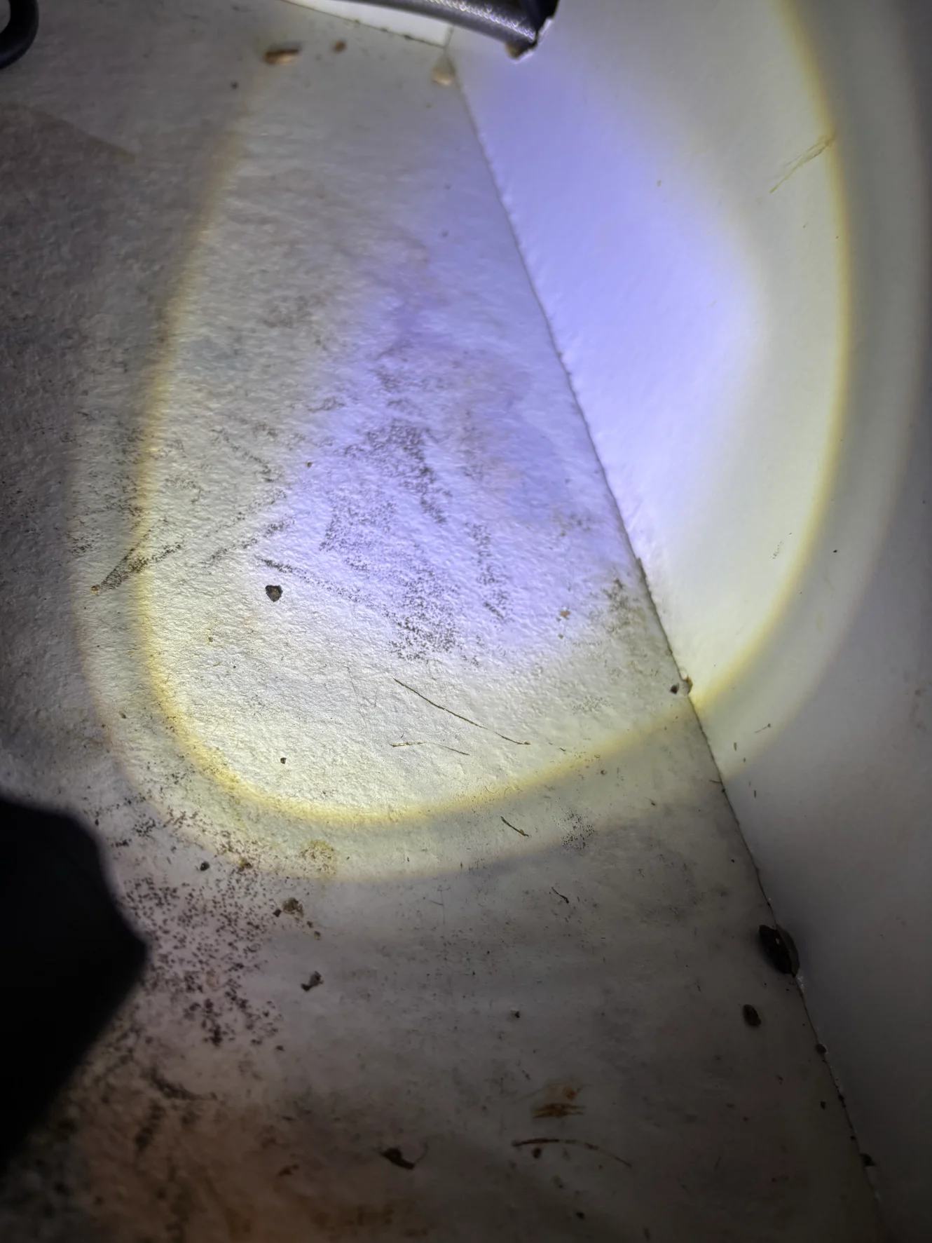 Wall inspection using UV or specialty lighting